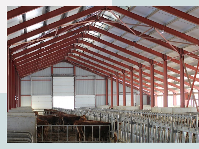 Строительство коровников в Гае