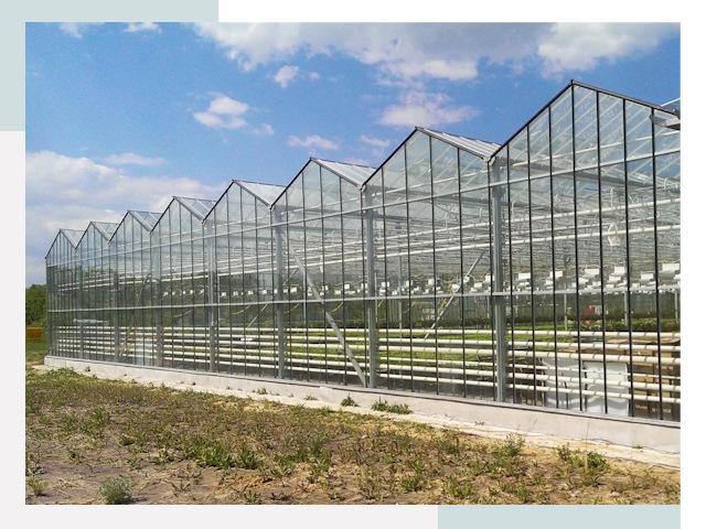Строительство теплиц в Гай от 610 руб. за м²