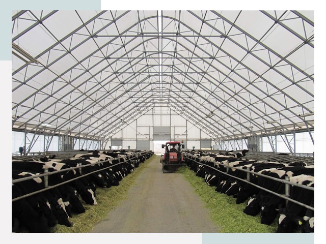 Тентовые коровники в Гае от 610 руб. - Надежно и доступно